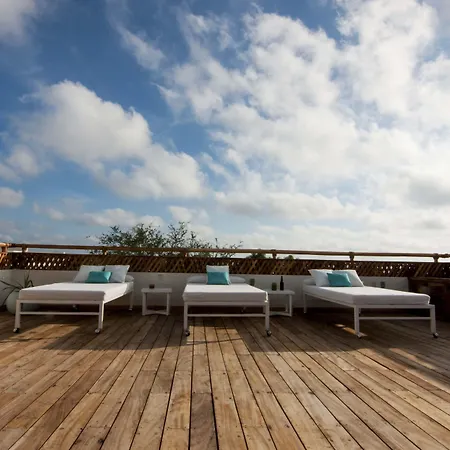 Shavanna Hotel Boutique-2